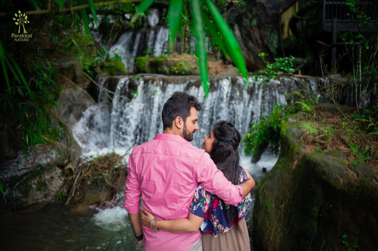 Parakkat Nature Resort Munnar Exterior photo